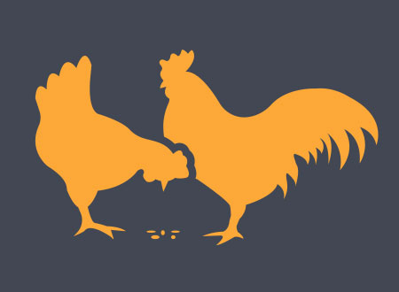 Hühnerfutter